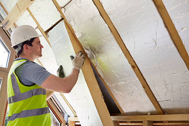 Best Insulation Maintenance and Repair in , HI