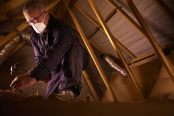 Best Cellulose Insulation in , HI