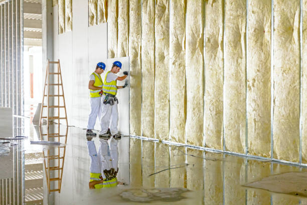 Best Insulation for Specific Applications in , HI